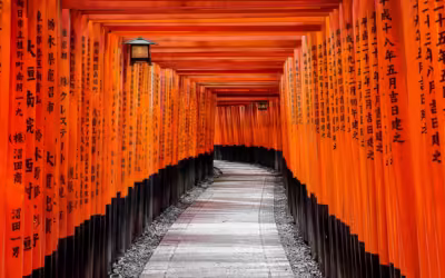 1618899701_shutterstock_510619519